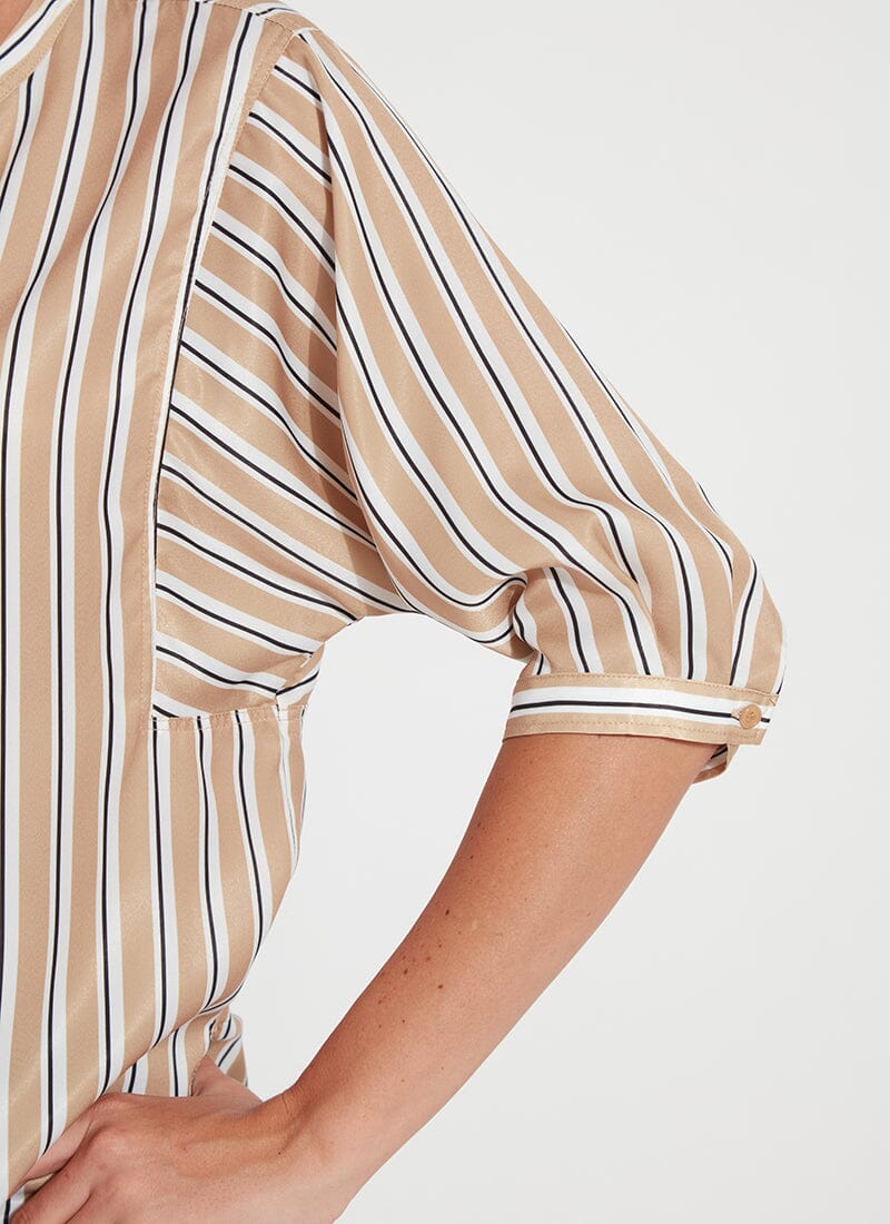 color=Neutrality Stripe