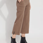 color=Cold Chestnut