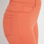 color=Vibrant Apricot