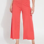 color=Funk Red