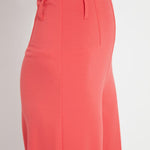 color=Funk Red
