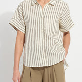 color=Olive Grove Stripe