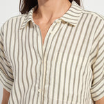 color=Olive Grove Stripe