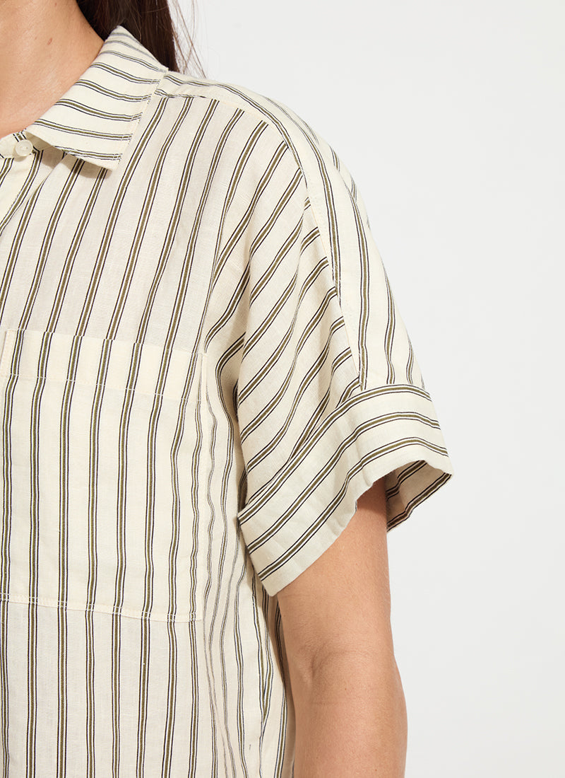 color=Olive Grove Stripe