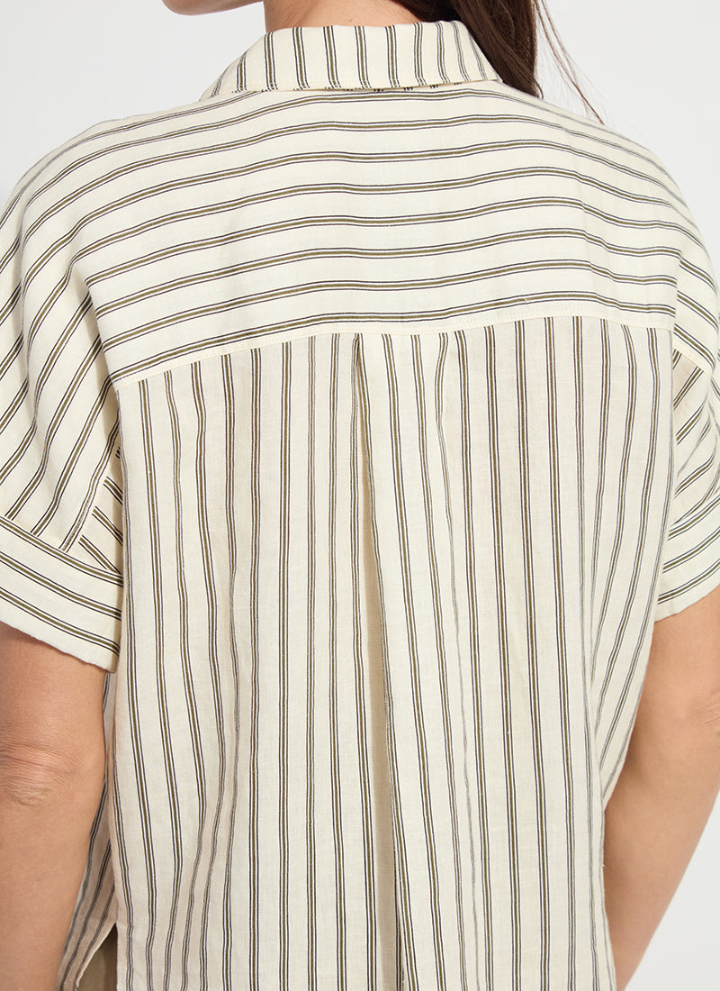 color=Olive Grove Stripe